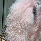 STEPPE Fur Leather Jacket-Jacket-SAINT CHIC