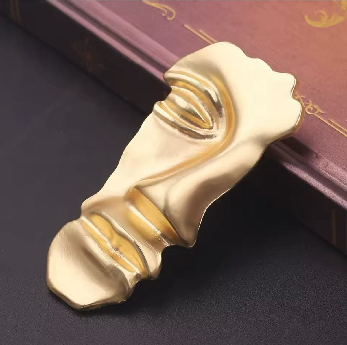 SAINT CHIC brooch Half Face LE VISAGE Brooch